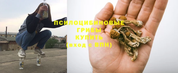 прущие крисы Богородск