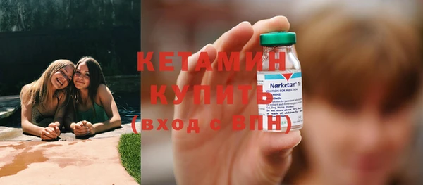 шишки Бородино