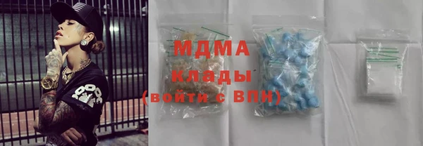 шишки Бородино