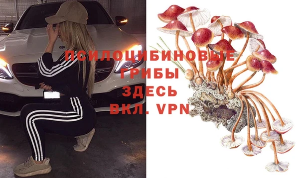 шишки Бородино