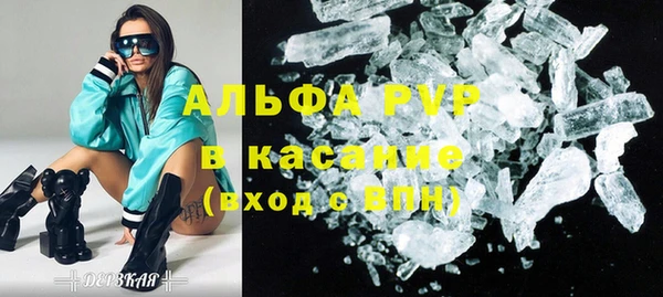 шишки Бородино